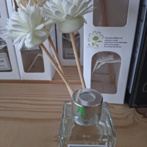 Beautiful Life Diffuser