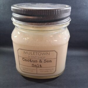 Muletown Scent Shop - Cactus and Sea Salt - 8 Oz Candle