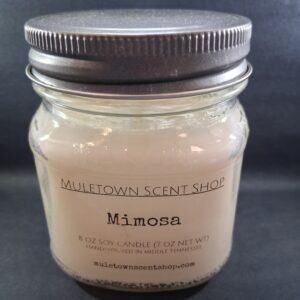 Muletown Scent Shop - Mimosa - 8 Oz Candle