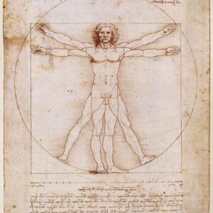 8x10 Print - Vitruvian Man - Da Vinci