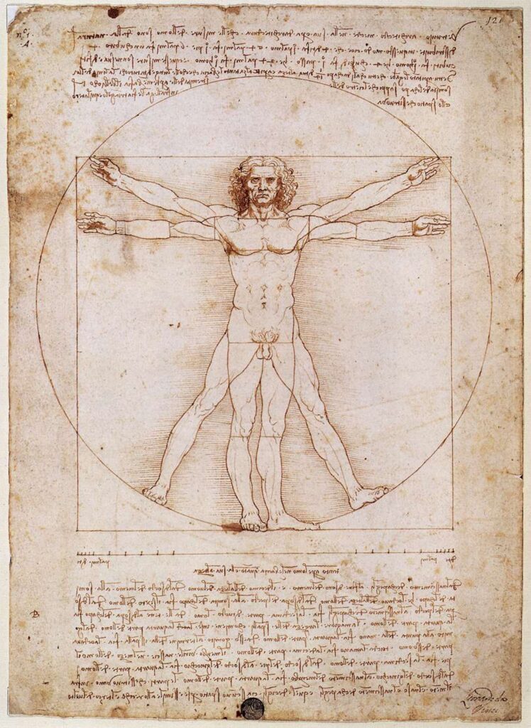 8x10 Print - Vitruvian Man - Da Vinci